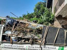 Best Dumpster Rental Services  in Franklinville, NC